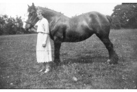 BET 195 Mabel Sis Kucas at Hall Farm 10a-17