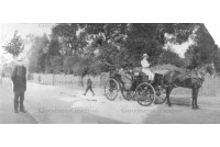 BET 221 Rev.Thornton. Wm Timberlake driving carriage 16-18