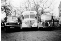 BET 729004