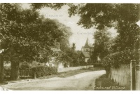 EWH 01 EWHURST village 1905