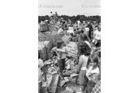 J191-35a Southwater brickworks demolition