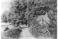 REI 145 Park Lane 23-5-115