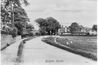 REI 147 Heath. Black Horse 20-5-115