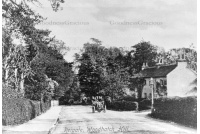 REI 171 Cockshot Hill 21-5-115