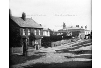 WES 75 Westcott Street 33a-68