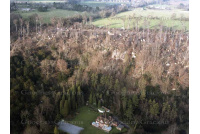 aerial_a4_reigate_colley_hill_761603549