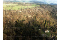 aerial_a5_reigate_colley_hill_970744665
