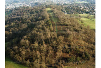 aerial_c12_reigate_priory_park_southern_edge
