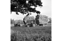 batch_lei_190_haymaking_sunnyoak_farm