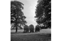 batch_lei_191_haymaking_sunnyoak_farm