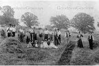 bet_08_haymaking_at_wonham_manor_32-13