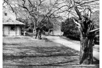 bet_126_betchworth_park_lodge_36-21