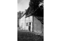 bet_164