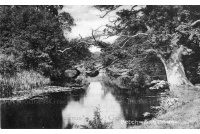 bet_167_betchworth_bridge_tif