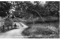 bet_23_school_path