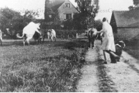 bet_259_hall_farm_35-22