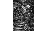 bet_281_sandpit_cotts__steps_24a-16