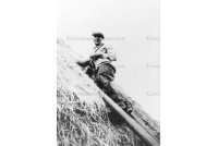 bet_395_harry_hales_thatching_a_hayrick29a-23