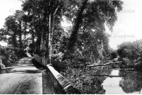 bet_41_wonham_lane_10a-15