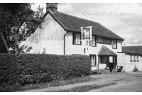 bet_496_old_spotted_cow_6-1-51