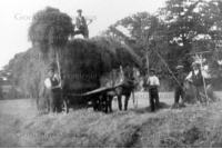 bet_576_gadbrook_farm_haymaking