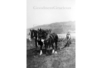 bet_580a_ted_bylett_ploughing_for_fulfords