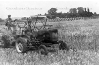 bet_610_haymaking_on_the_common_field