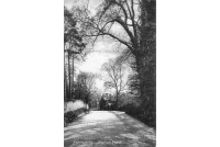 bet_65_station_road