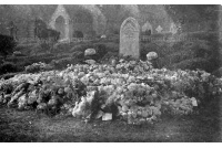 bet_771_mabel_wheeler_d_1913_aged_29