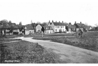 bro_23_green_23-3-55