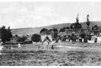 bro_27_green_14a-5-55