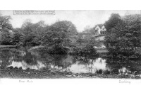 dor_12_near_lower_boxhill_farm_1907