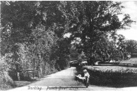 dor_87_punchbowl_lane_30-1-100