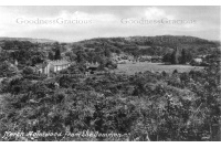 holm_09_north__common