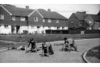 lei_138_the_glebe_1962