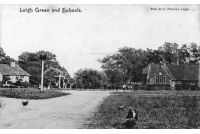 lei_28_green__school