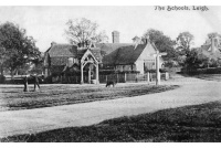 lei_31_green__school_1909