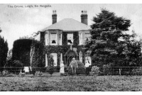 lei_68_the_grove