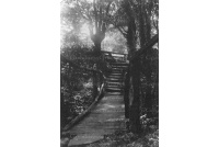 oak_14_church_steps_1913_25-3-107