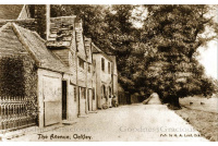 ock_25_shops_in_the_avenue_1907