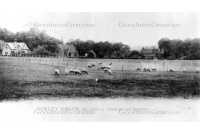 ock_52_green_and_school_12-54