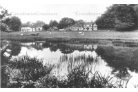 ock_53_32-51_green_and_red_lion_32-51