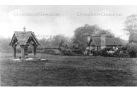 ock_54_green_and_pump_29-51