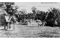 ock_64_green_and_pump_34-51