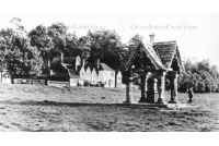 ock_65_green_and_pump_31-51