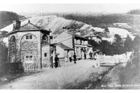 rei_177_yew_tree__toll_gate_12-2-118