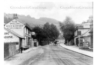 rei_181_yew_tree_and_rifle_volunteer_23-4-117