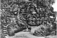 rei_195_park_lane_1-2-110