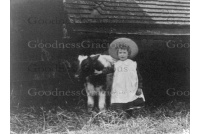 wjr_b83_westcott__springfield_farm__vi_holden_nee_taylor