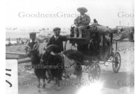 wjr_h6_seaside_goatcart